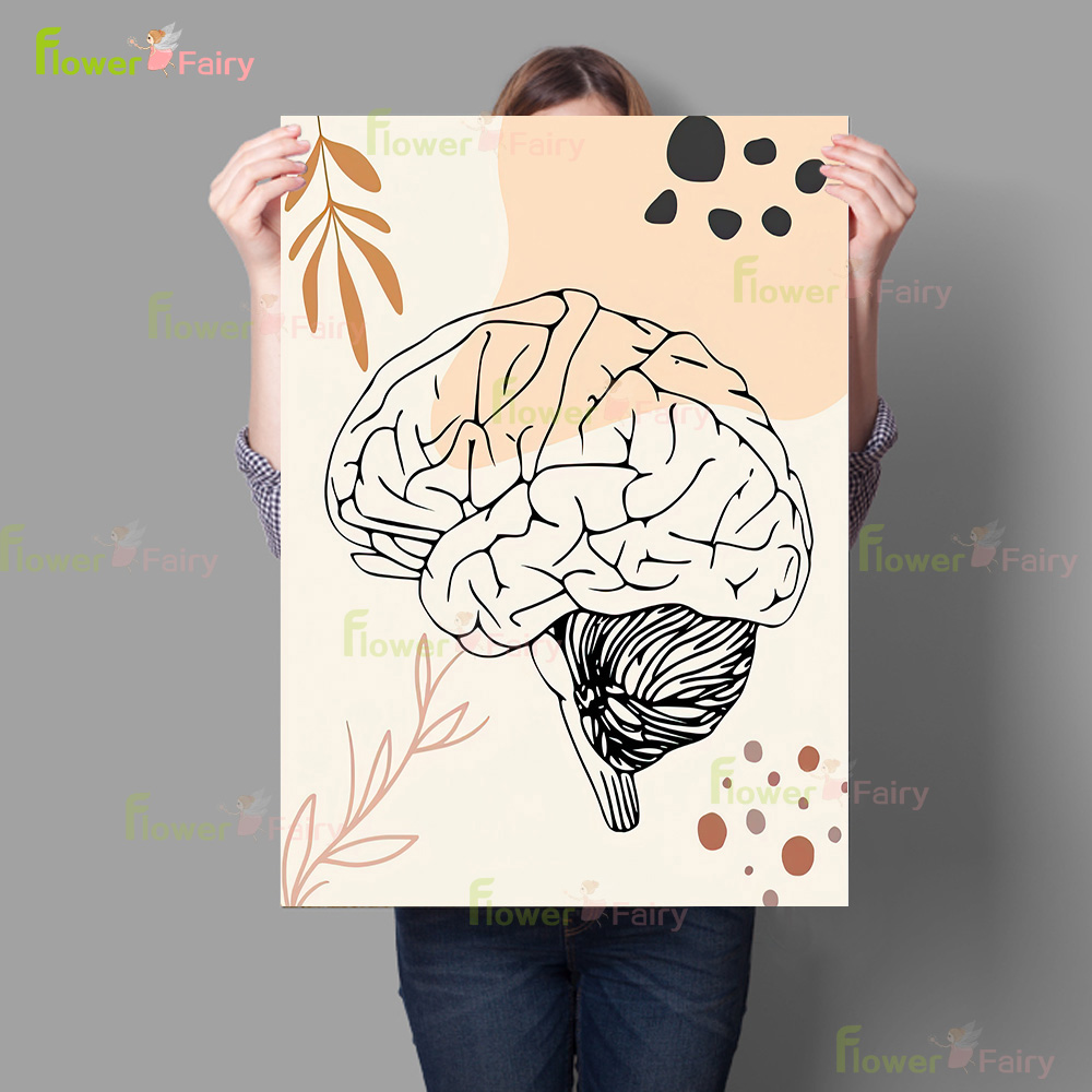 Human Anatomy Science Brain Nu - огляд і ціна Science Nursery