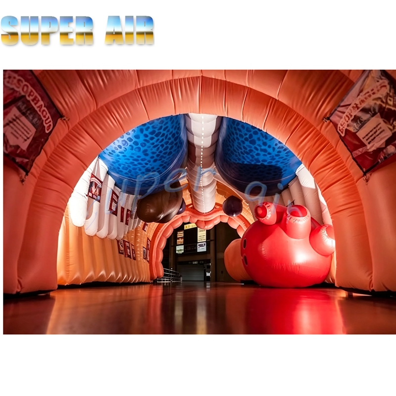 Giant Inflatable Human Body Mo - огляд і ціна Science Exhibition Models