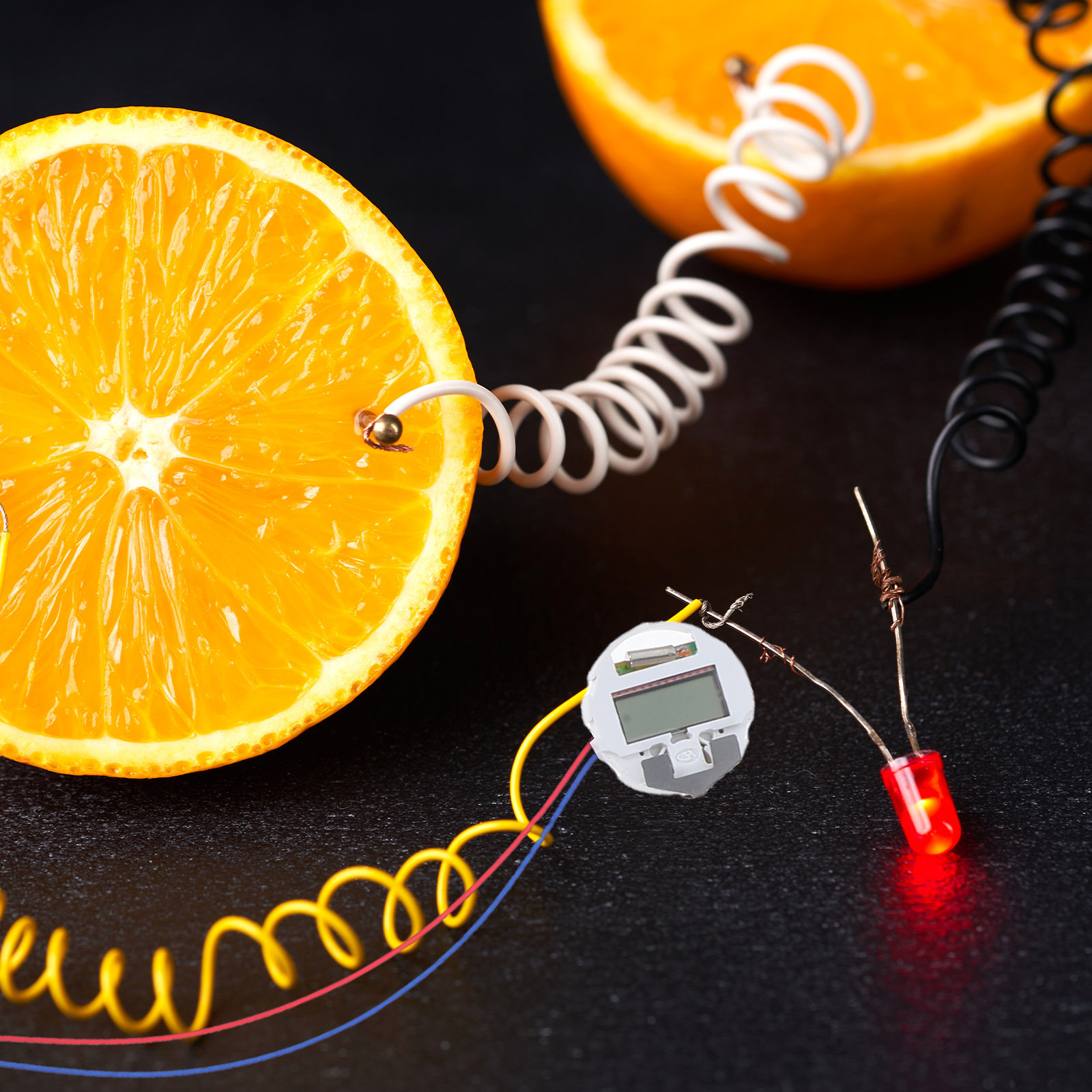 1Set Fruit Battery Experiment  - огляд і ціна Science Project Physics