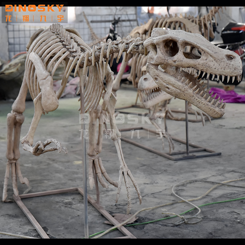 ATV&UTVResin Raptor Skeleton F - огляд і ціна Science Exhibition Models